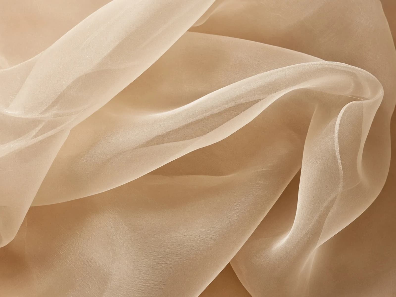 Champagne silk organza with crisp transparent volume